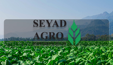 seyad agro investment
