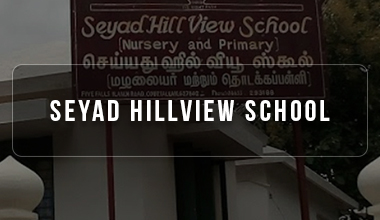 seyad hillview school